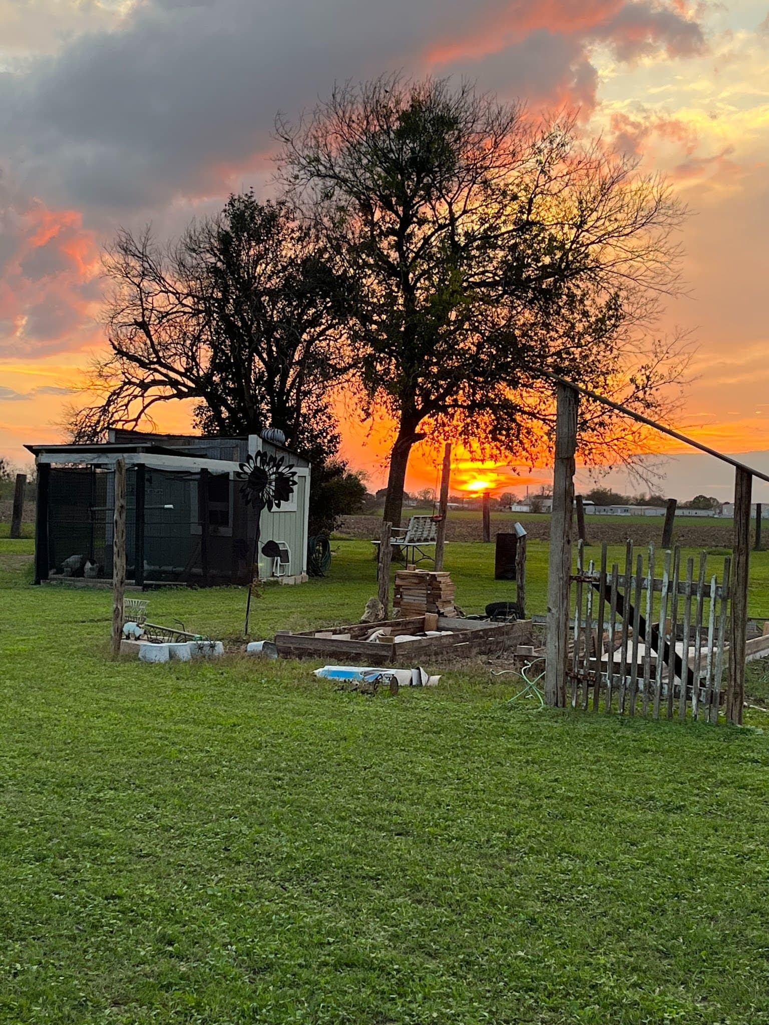 The Farm — guided dove hunting water